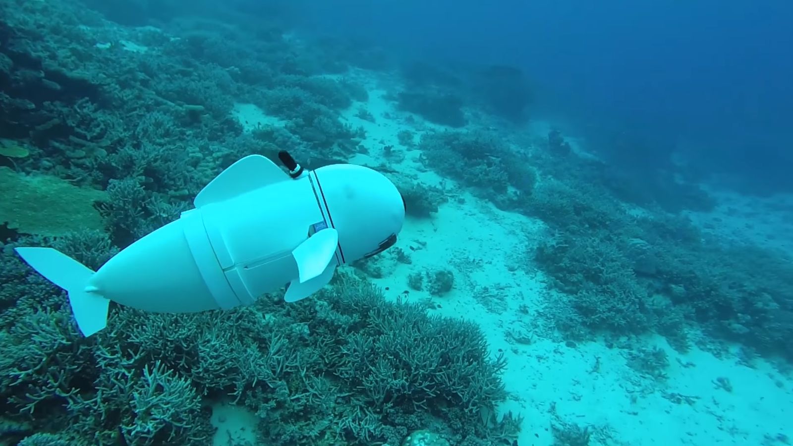 Scientists invent ocean-going robotic fish which blends in with