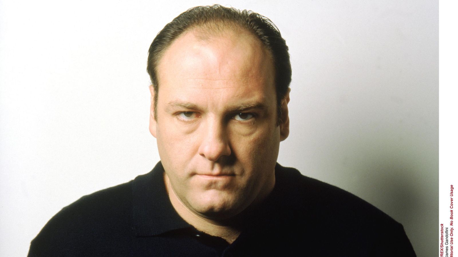 Tony Soprano: The first in a long line of 'difficult men', Ents & Arts  News