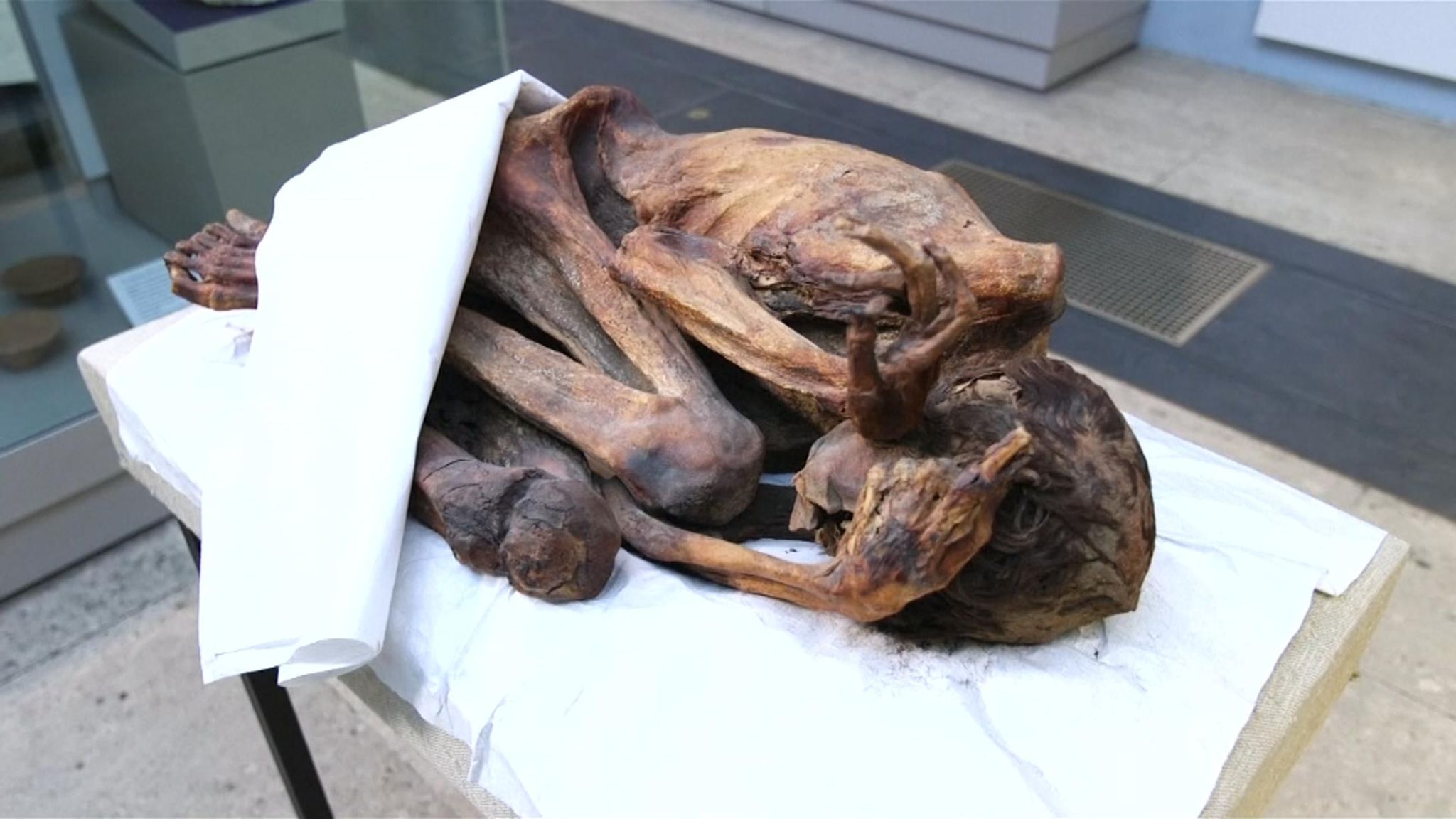 World's 'oldest tattoos' found on ancient Egyptian mummies | World News |  Sky News