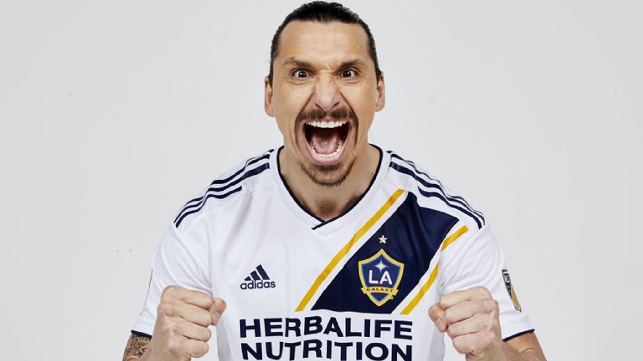 LA Galaxy on X: The 🦁 of Los Angeles. Bid now on this signed Zlatan  Ibrahimović jersey, benefiting the LA Galaxy Foundation. BID ➡️    / X