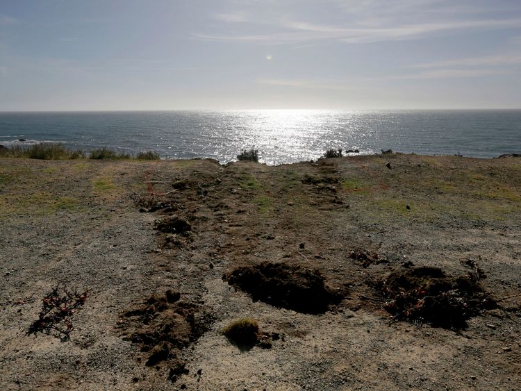 Tracks lead away from the edge of the cliff where the SUV of Jennifer and Sarah Hart went off the Pacific Coast Highway