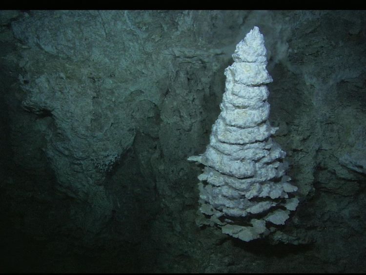The Lost City in the Atlantic