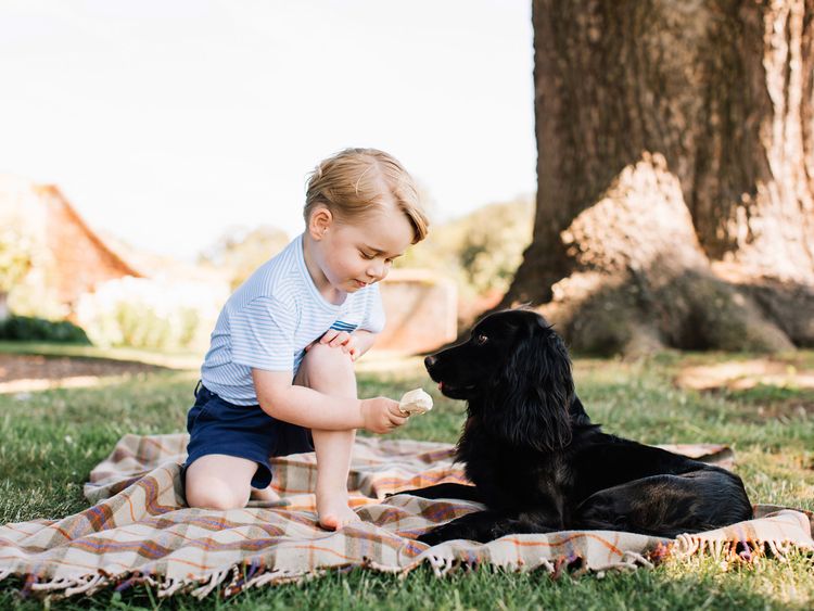Prince George, before his third birthday with the family pet, Lupo