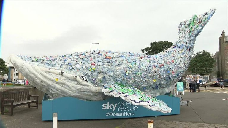 Bottle return scheme 'a victory for the seas' | News UK Video News ...