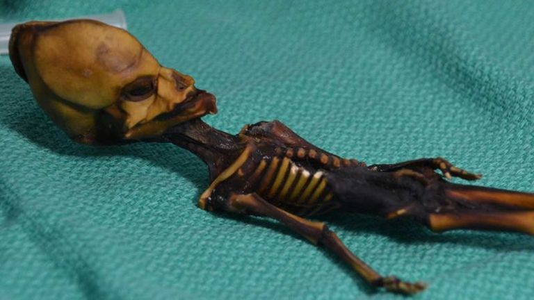 The mummified remains found in the Atacama desert. Pic: Dr Emery Smith

