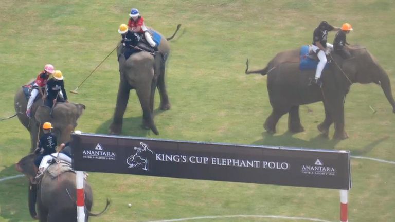 Elephants at the King&#39;s Cup Elephant Polo tournament were abused video footage shows