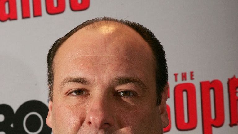 'Tony Soprano' James Gandolfini died in 2013