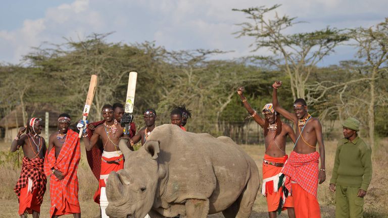 Maasai warriors pose with Sudan, the only male of the last three northern white rhino sub-species on the planet