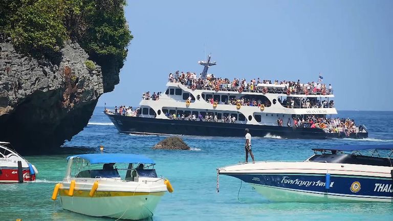 Tourist boats could be banned from entering the bay