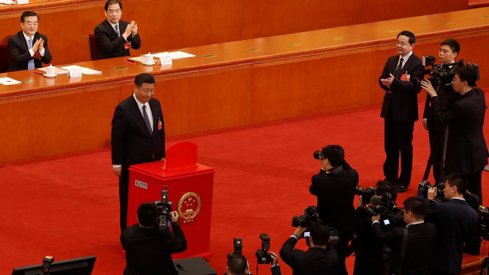 President Xi Jinping after casting his ballot