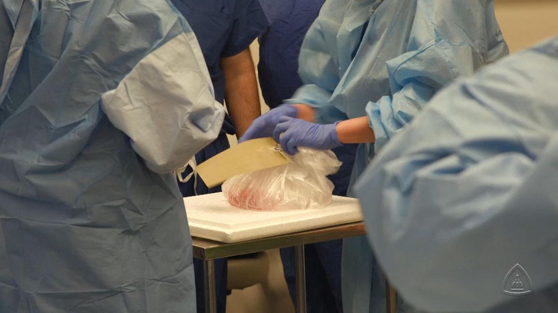 This replaces a larger area of genitalia than any previous operation