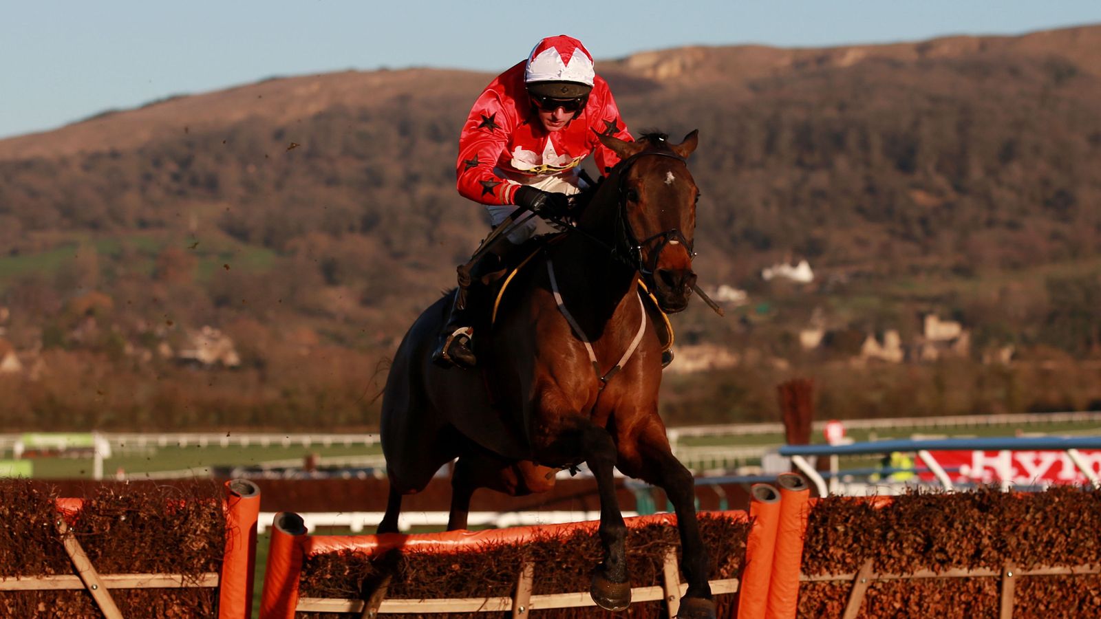 These are the horses you should back in the Grand National | UK News | Sky News