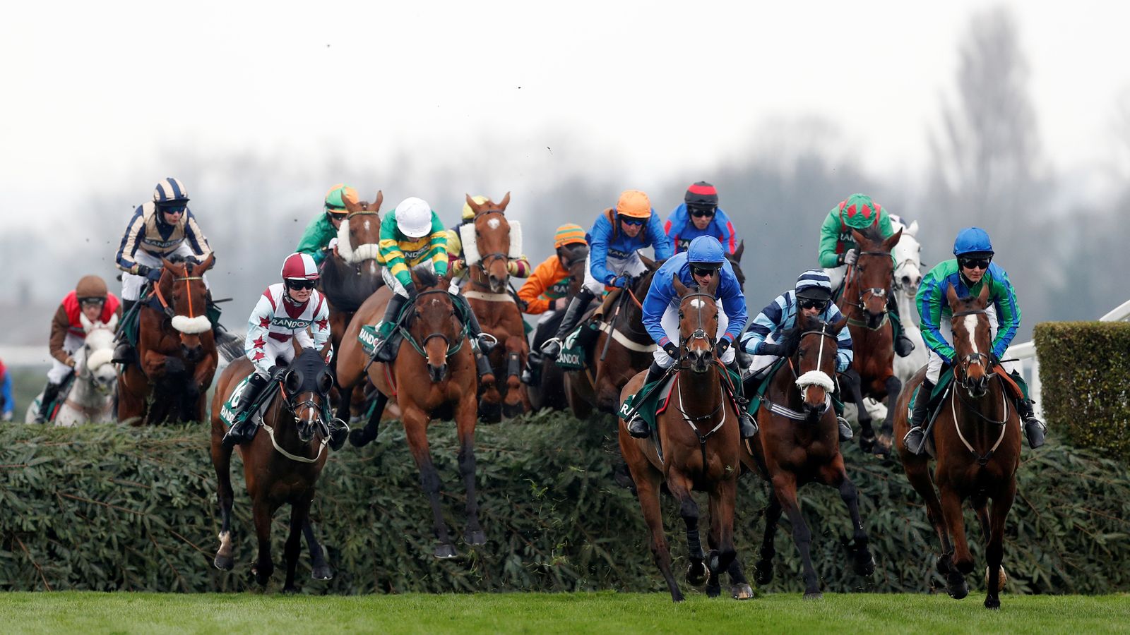 These are the horses you should back in the Grand National UK News