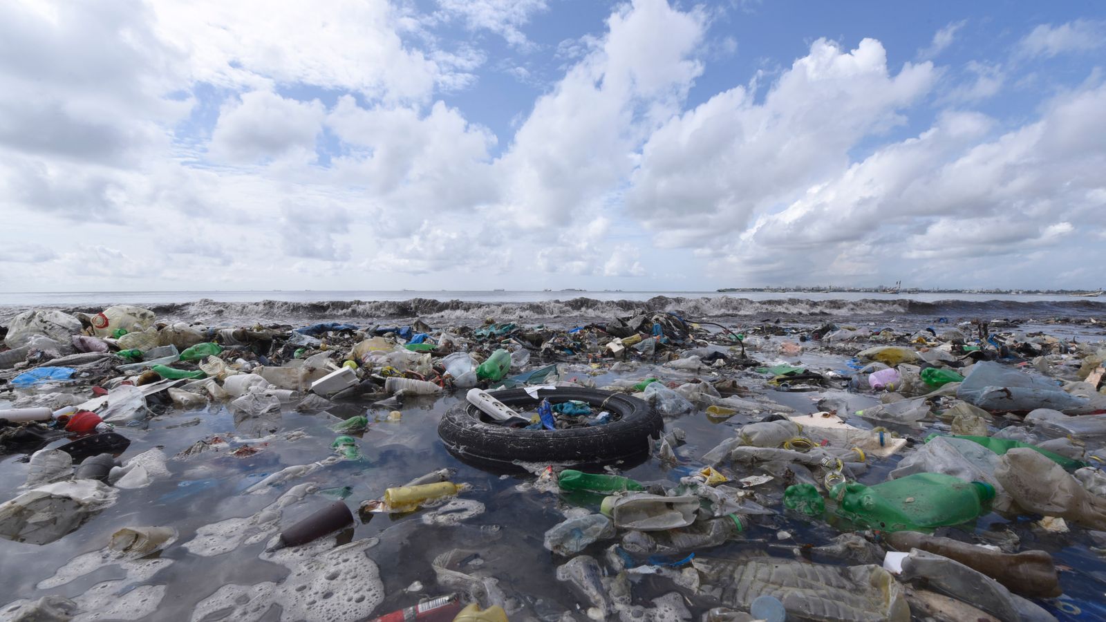 UK to call for third of world's oceans to be protected by 2030