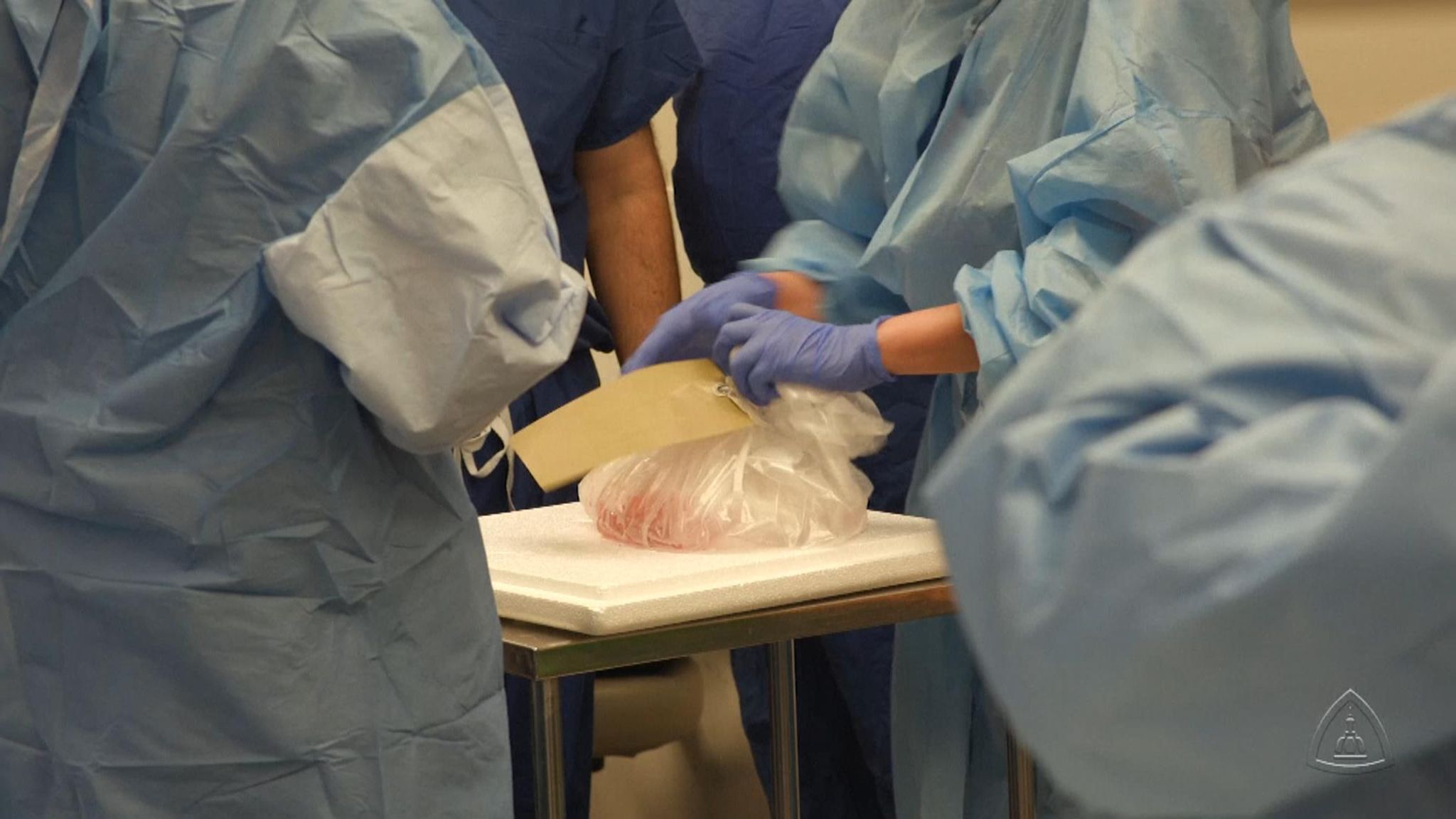 Surgeons perform first scrotum and penis transplant 