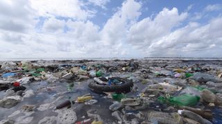 Plastic debris in the sea is a huge environmental problem