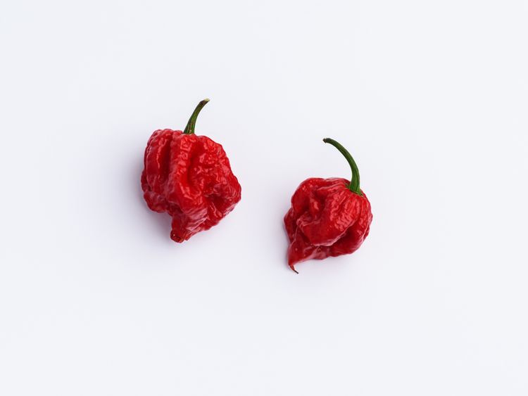 The Carolina reaper chilli left the man with severe headaches for five weeks