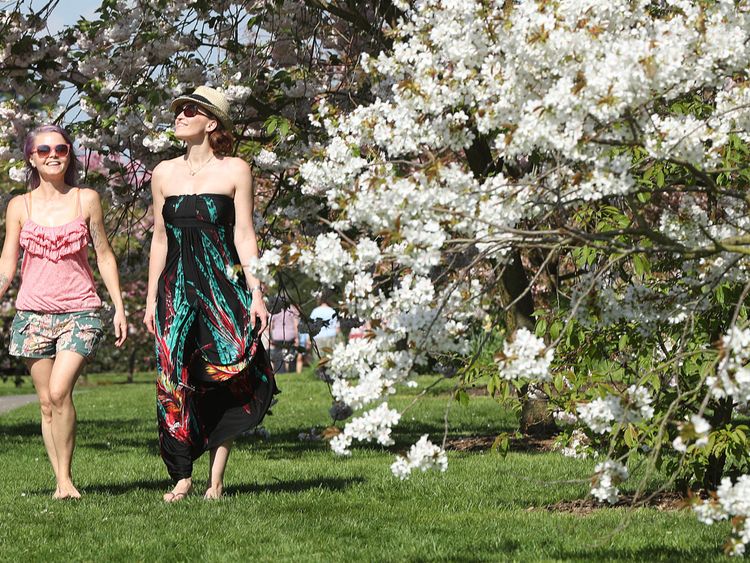 The blossom was well and truly out on the trees at Kew Gardens after a week of hot weather