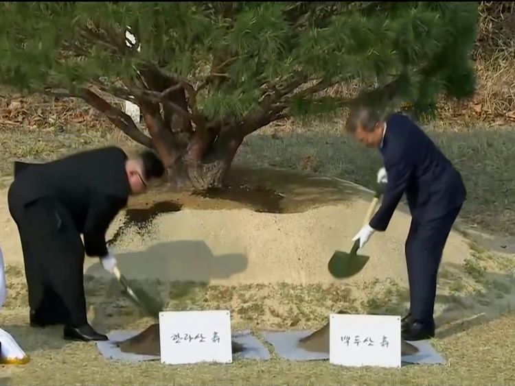 South Korean President Moon Jae-in and North Korean leader Kim Jong Un attend tree planting ceremony