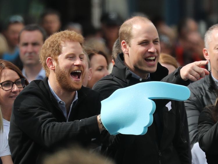 Princes Harry and William last year