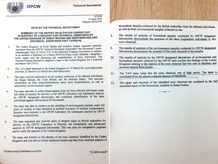 Russian ex-spy case: Chemical weapons watchdog confirms UK findings Russian ex-spy case: Chemical weapons watchdog confirms UK findings