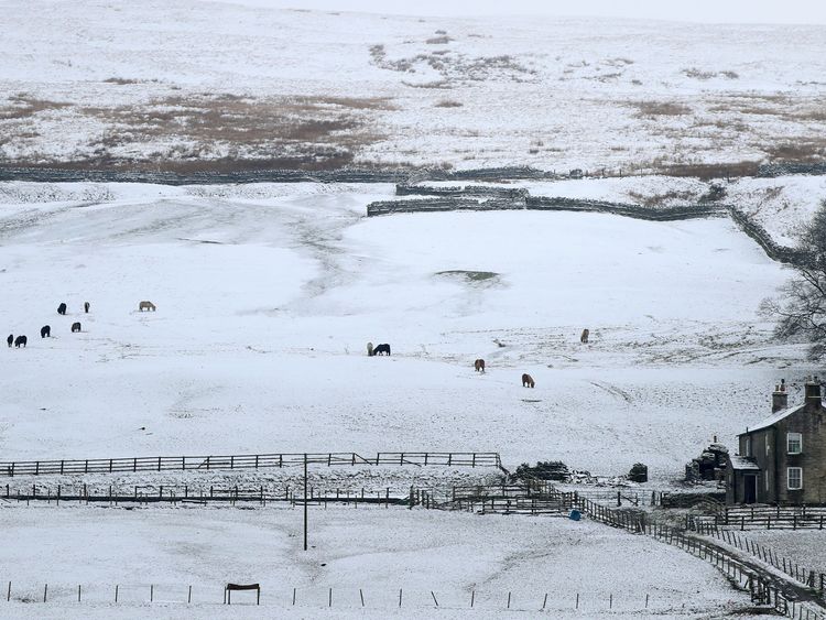 Snow covered fields close to Nenthead, Cumbria