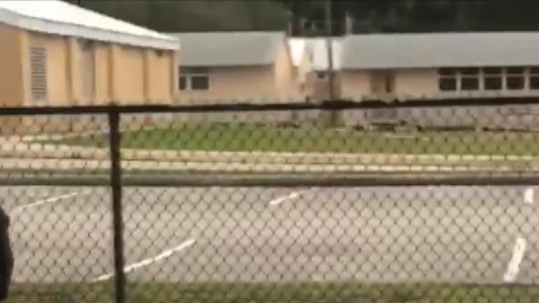 An alligator takes a stroll by a school gate in Florida