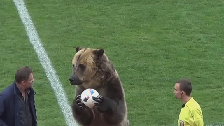 Footage of a bear performing in front of fans before a Russian league match has been condemned as &#34;shocking and inhumane&#34; by animal welfare groups.

A YouTube video showed circus bear &#39;Tim&#39; hand the ball to the referee before the third-tier game between Mashuk-KMV and Angusht in Pyatigorsk.