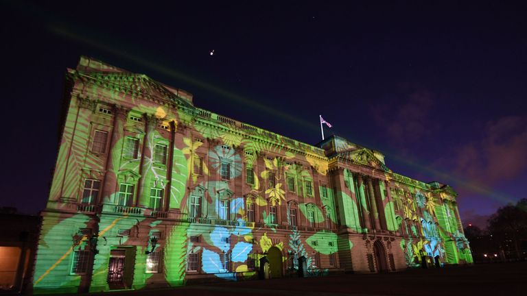 A rainforest design was projected on to the palace as part of the Commonwealth Canopy project 