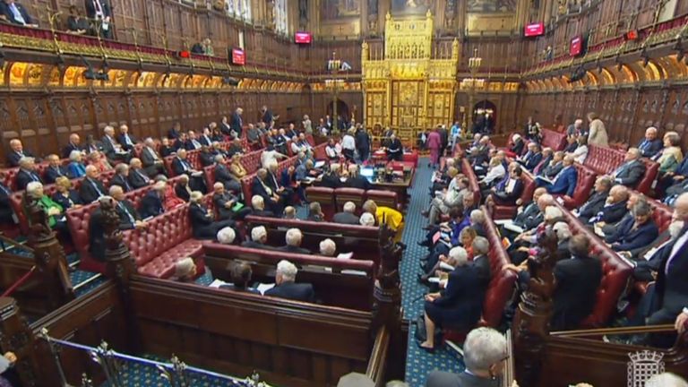 Peers in the House of Lords