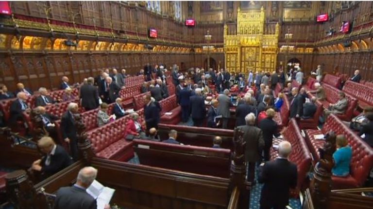 House of Lords inflict three defeats on the Government&#39;s Brexit Bill in one night