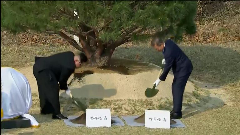 South Korean President Moon Jae-in and North Korean leader Kim Jong Un attend tree planting ceremony