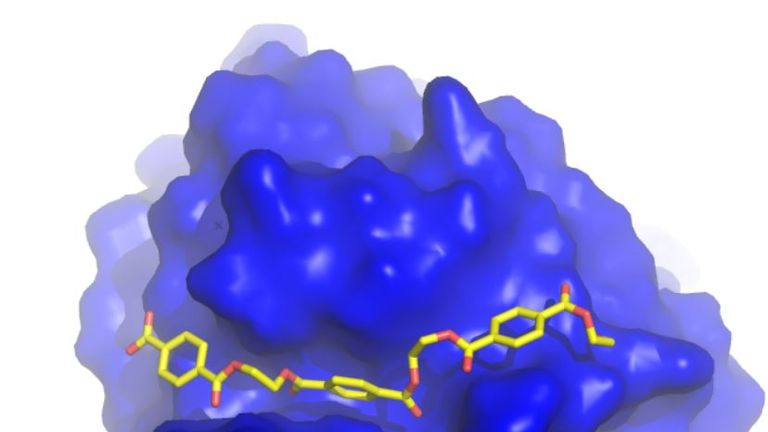 Scientists have engineered an enzyme which can digest polyethylene terephthalate (PET), the plastic used in plastic bottles and other common packaging.  - Diamond Light Source 