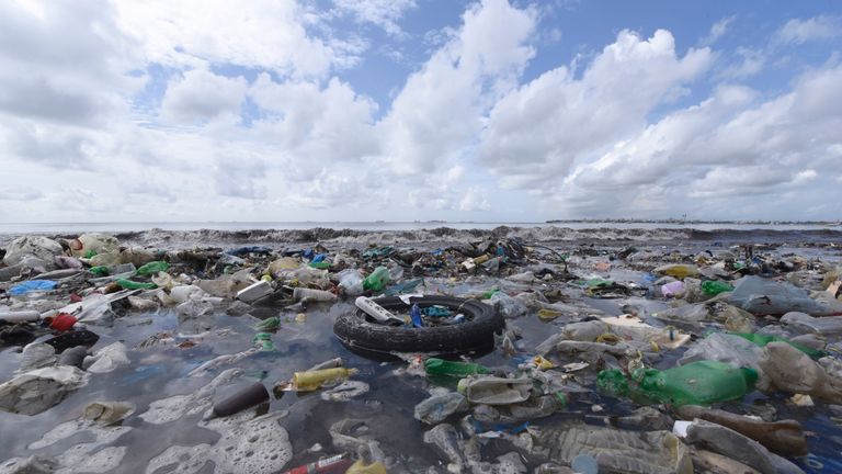 Plastic debris in the sea is a huge environmental problem