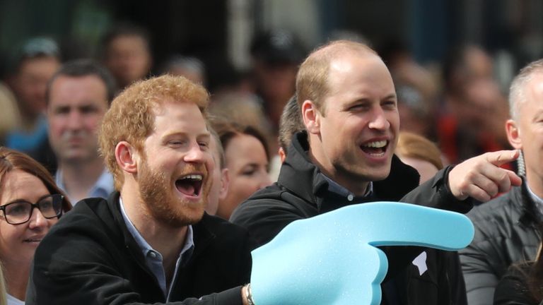 Princes Harry and William last year