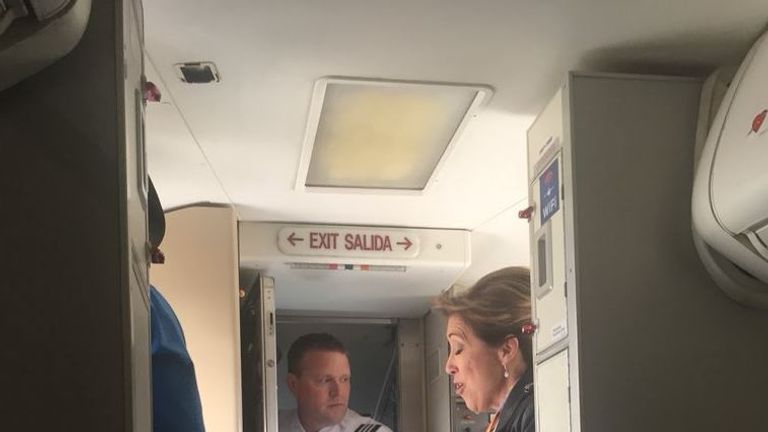 Tammie Jo Shults on the plane. Pic: @EMMS_MrJohnson  
 