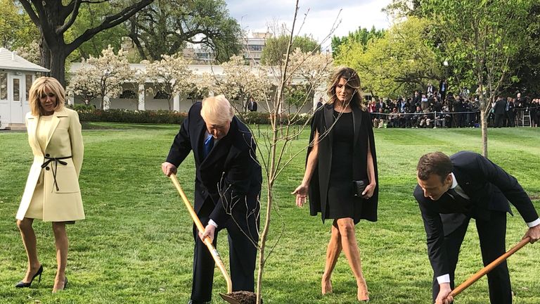 Donald Trump and Emmanuel Macron shovel dirt onto a freshly planted oak tree as Brigitte Macron and Melania Trump watch on