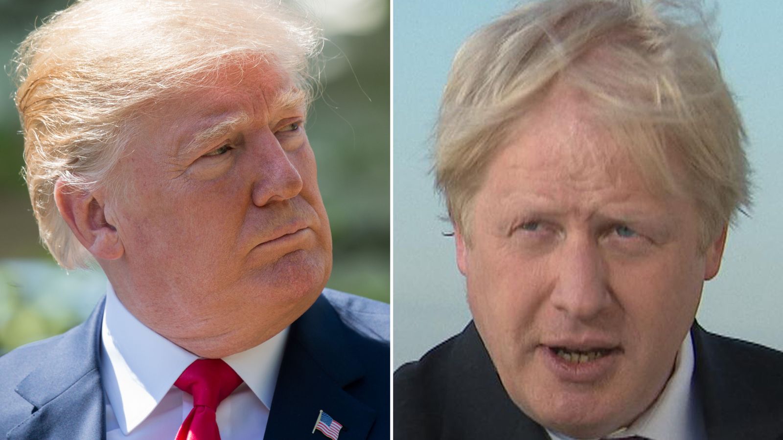 Donald Trump Backs 'very Good Guy' Boris Johnson For New Tory Leader ...