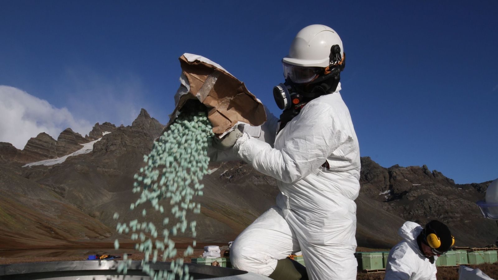 Rats driven off British island South after world's largest rodent cull UK News Sky News