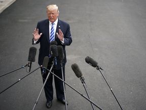 Scientists train regal jumping spider called Kim to leap on demand