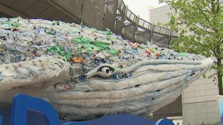 Plastic Whale visits Brussels
