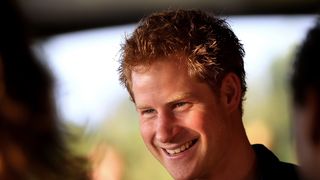 Prince Harry has suffered tragedy, embarrassment and world renown in his 33 years