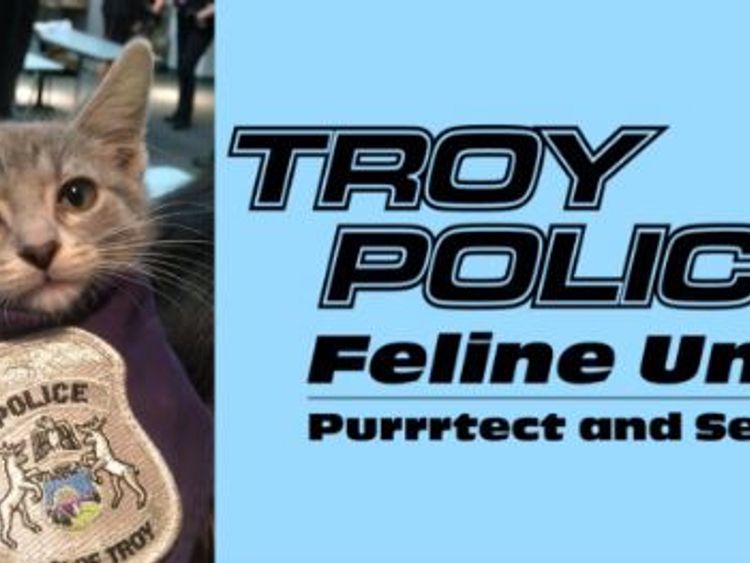 Cat named Pawfficer Donut to serve with police Cat named Pawfficer Donut to serve with police