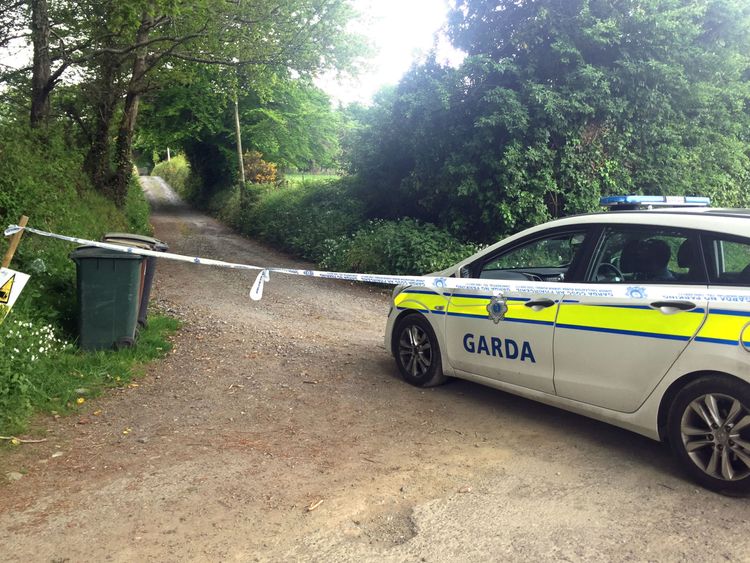 Gardai on Puck’s Castle Lane in Rathmichael, Co Dublin