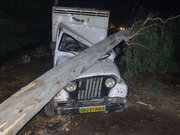 A tree felled by high wind during a storm onto a vehicle in Bareilly in India&#39;s northern Uttar Pradesh