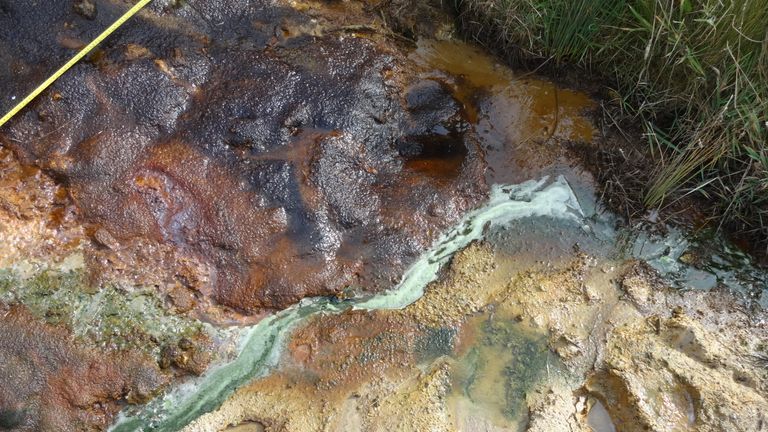 An acidic stream in Dungy Head, Lulworth Cove, on the eastern end of St Oswald&#39;s Bay