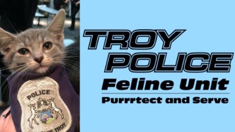 Troy Police Department selects police cat after successful Twitter campaign