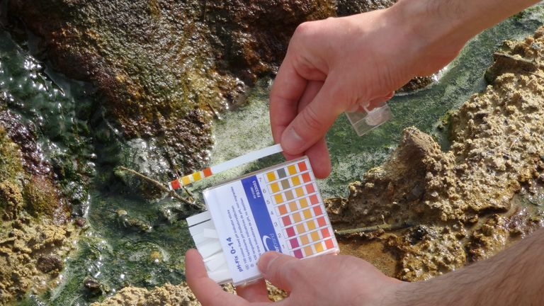 The ICL team tests the Ph of the streams in Dorset