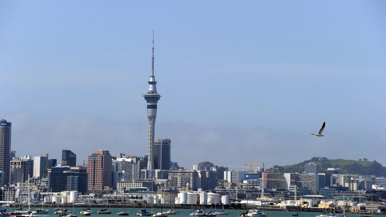 View of the skyline in Auckland, New Zealand