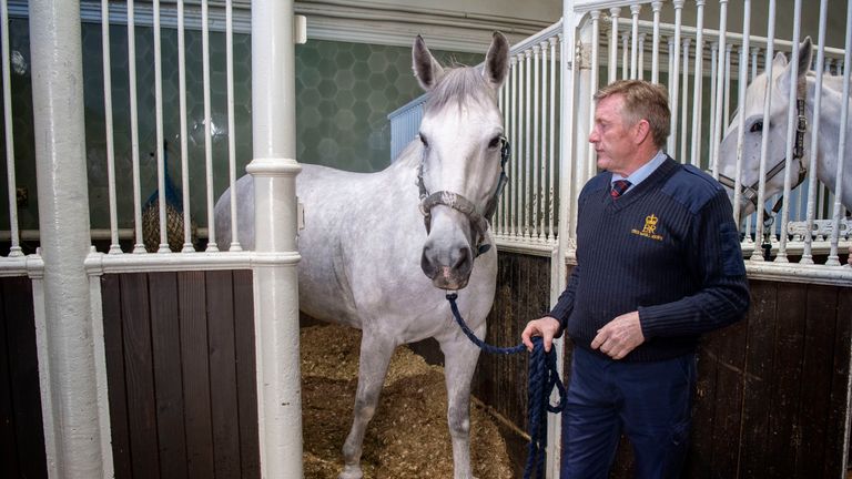 Philip Barnard-Brown, Senior Coachman at the Buckingham Palace Mews, leads out a Windsor Grey, one of the four horses that will pull the carriage